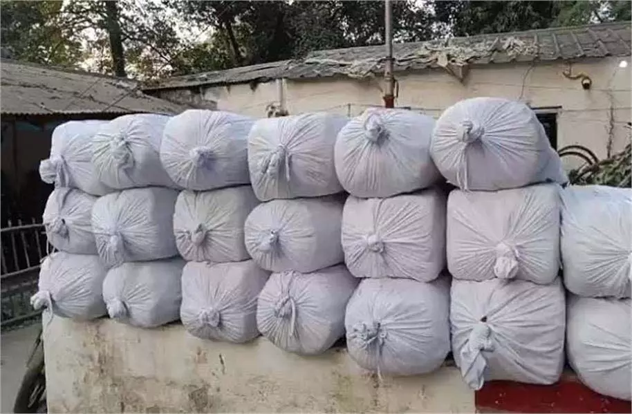 Bihar News: पुलिस की बड़ी कार्रवाई से मचा हड़कंप,620 किलोग्राम गांजा बरामद Bihar News: पुलिस की बड़ी कार्रवाई से मचा हड़कंप,620 किलोग्राम गांजा बरामद