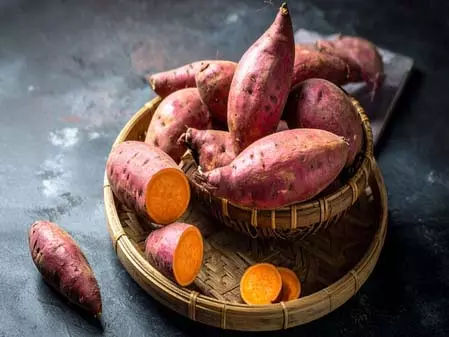 भुनी हुई शकरकंद और सर्दियों का यह कॉम्बिनेशन शरीर को देगा नई ऊर्जा, आंखों से लेकर पाचन के लिए औषधि भुनी हुई शकरकंद और सर्दियों का यह कॉम्बिनेशन शरीर को देगा नई ऊर्जा, आंखों से लेकर पाचन के लिए औषधि