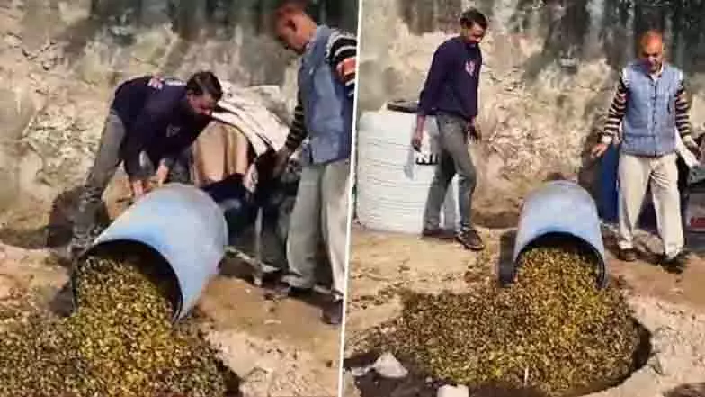 Alwar: 1,600 किग्रा असुरक्षित अचार, घी और गुड़ जब्त Alwar: 1,600 किग्रा असुरक्षित अचार, घी और गुड़ जब्त