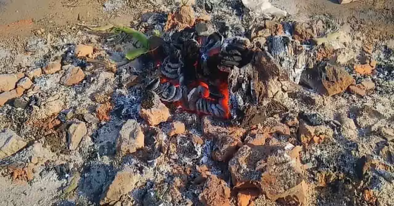 Rayagada विस्फोट मामले में नया मोड़ आया; घर पर पटाखे बनाते समय धमाका हुआ Rayagada विस्फोट मामले में नया मोड़ आया; घर पर पटाखे बनाते समय धमाका हुआ