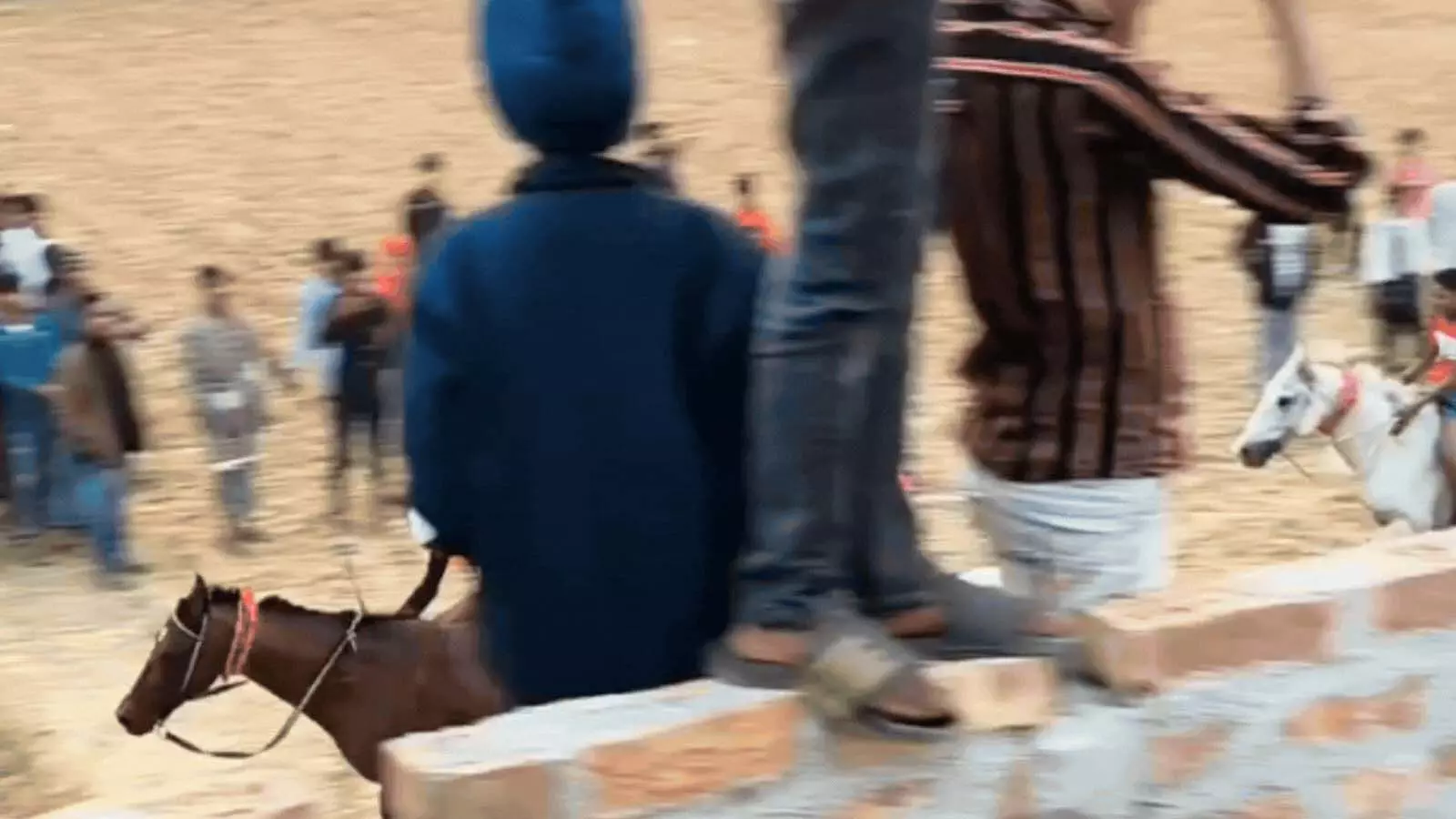 Amtala में नाबालिग को घोड़े ने काटा, मुंह से लटक रहा Amtala में नाबालिग को घोड़े ने काटा, मुंह से लटक रहा