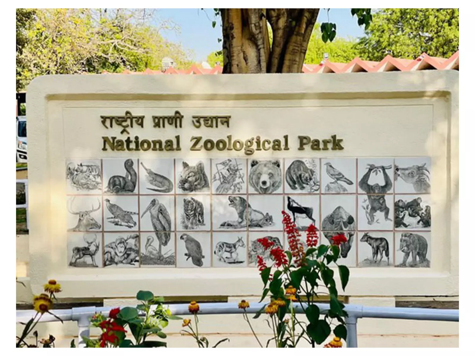 Delhi Zoo में सियार की मौत की जांच के लिए समिति का गठन Delhi Zoo में सियार की मौत की जांच के लिए समिति का गठन