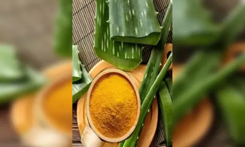 एलोवेरा और हल्दी के सामने फेल है ब्यूटी पार्लर, दाग-धब्बे दूर तो खिल उठेगा चेहरा