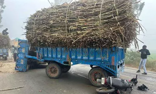 Jhajjar में सड़क हादसे में किशोर की मौत Jhajjar में सड़क हादसे में किशोर की मौत