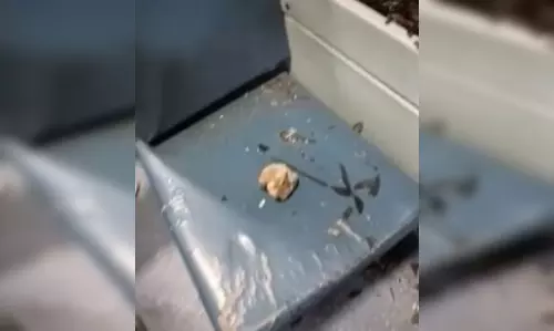 चलती ट्रेन पर पथराव हुआ, महिला समेत तीन यात्री घायल, एक्शन में RPF चलती ट्रेन पर पथराव हुआ, महिला समेत तीन यात्री घायल, एक्शन में RPF