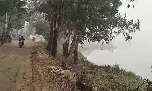 Yamunanagar रिवरफ्रंट प्रोजेक्ट: MC का हरा-भरा और साफ़ माहौल देने का प्रयास