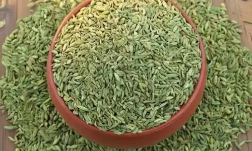 कम उम्र में सफेद बाल बन रहे हैं परेशानी? सौंफ देगा बालों को नेचुरल हेयर कलर