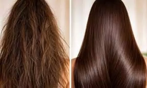 Hair Care: घर पर बने कंडीशनर से सिल्की बनेंगे आपके बाल,  जान लें   इसे बनाने का आसान तरीका