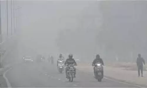 Ludhiana: सर्दी ने तोड़े सारे रिकॉर्ड, खतरनाक लैवल पर पहुंचा कोहरा Ludhiana: सर्दी ने तोड़े सारे रिकॉर्ड, खतरनाक लैवल पर पहुंचा कोहरा