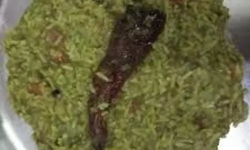 Palak Khichdi Recipe: ठंड में लंच के लिए तैयार करें गरमा-गरम पालक खिचड़ी Palak Khichdi Recipe: ठंड में लंच के लिए तैयार करें गरमा-गरम पालक खिचड़ी