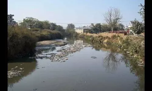 Faridabad MC, पुलिस को सीवेज डालने वाले टैंकरों के खिलाफ कार्रवाई का निर्देश