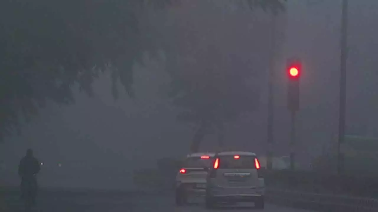 Delhi-NCR में शीतलहर और घना कोहरा छाया Delhi-NCR में शीतलहर और घना कोहरा छाया