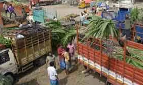 Koyambedu मार्केट 17 जनवरी को पोंगल के मौके पर बंद रहेगा Koyambedu मार्केट 17 जनवरी को पोंगल के मौके पर बंद रहेगा