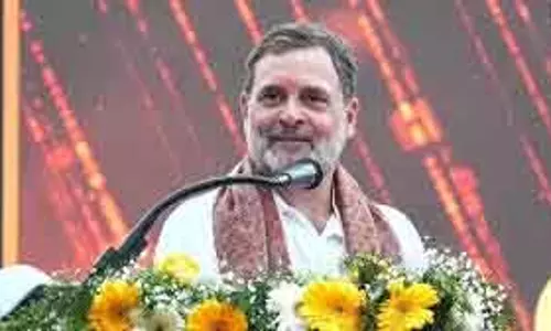 Chennai भाजपा ने राहुल को अलगाववाद का ‘पाठ्यपुस्तक उदाहरण’ बताया