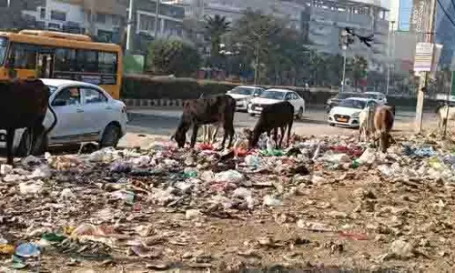 सेक्टर 67 में खुले में कचरा फेंकने पर यात्रियों ने आपत्ति जताई सेक्टर 67 में खुले में कचरा फेंकने पर यात्रियों ने आपत्ति जताई
