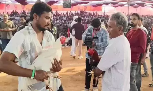 राजमुंदरी के रहने वाले ने chicken race में 1.5 करोड़ रुपये जीते! राजमुंदरी के रहने वाले ने chicken race में 1.5 करोड़ रुपये जीते!