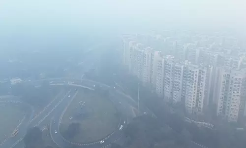 New Delhi: उत्तर भारत में कोहरे और शीत लहर का असर