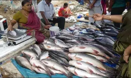 Bhubaneswar बीएमसी के मांसाहारी अपशिष्ट निपटान मानदंड Bhubaneswar बीएमसी के मांसाहारी अपशिष्ट निपटान मानदंड