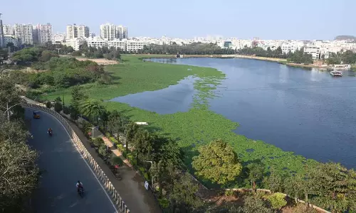 Hyderabad: खरपतवार के प्रकोप ने दुर्गम चेरुवु की प्राकृतिक सुंदरता को खराब कर दिया Hyderabad: खरपतवार के प्रकोप ने दुर्गम चेरुवु की प्राकृतिक सुंदरता को खराब कर दिया