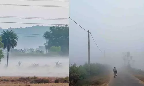 Odisha में शीतलहर लौट आई, कई जिलों में घने कोहरे से जनजीवन प्रभावित