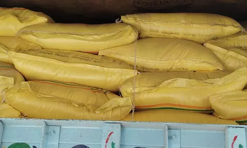 Yamunanagar: यमुनानगर पुलिस ने पकड़ा 3 ट्रक अवैध यूरिया Yamunanagar: यमुनानगर पुलिस ने पकड़ा 3 ट्रक अवैध यूरिया