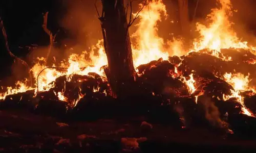 पुरी गांव के खेत में 11 KV बिजली की लाइन टूटने से लगी भीषण आग पुरी गांव के खेत में 11 KV बिजली की लाइन टूटने से लगी भीषण आग
