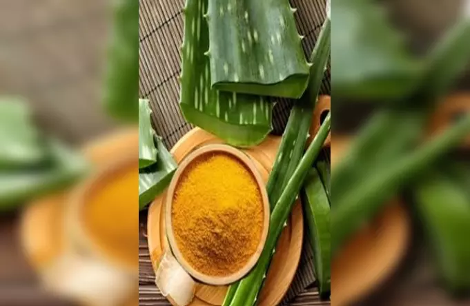 एलोवेरा और हल्दी के सामने फेल है ब्यूटी पार्लर, दाग-धब्बे दूर तो खिल उठेगा चेहरा एलोवेरा और हल्दी के सामने फेल है ब्यूटी पार्लर, दाग-धब्बे दूर तो खिल उठेगा चेहरा