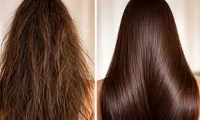 Hair Care: घर पर बने कंडीशनर से सिल्की बनेंगे आपके बाल, जान लें इसे बनाने का आसान तरीका Hair Care: घर पर बने कंडीशनर से सिल्की बनेंगे आपके बाल, जान लें इसे बनाने का आसान तरीका