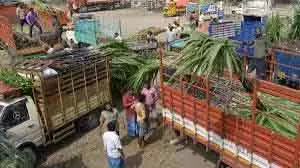Koyambedu मार्केट 17 जनवरी को पोंगल के मौके पर बंद रहेगा Koyambedu मार्केट 17 जनवरी को पोंगल के मौके पर बंद रहेगा