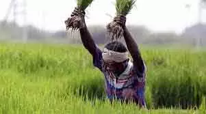 Tamil Nadu सरकार ने फसल नुकसान के लिए किसानों को 111.96 करोड़ रुपये जारी किए Tamil Nadu सरकार ने फसल नुकसान के लिए किसानों को 111.96 करोड़ रुपये जारी किए