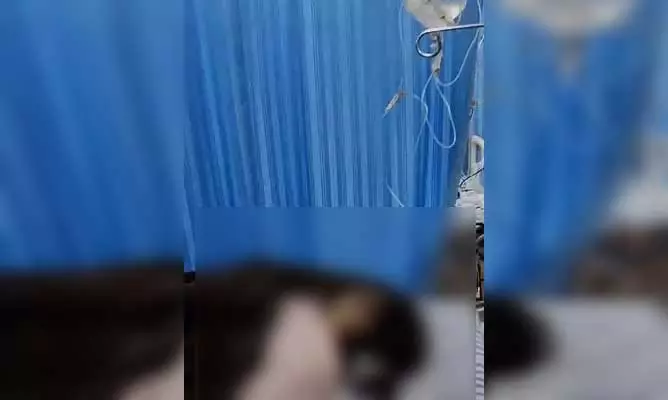 विवाहिता, दो बच्चों की संदिग्ध परिस्थितियों में मौत से खलबली, मायके वालों और ससुराल पक्ष का क्या कहना है? विवाहिता, दो बच्चों की संदिग्ध परिस्थितियों में मौत से खलबली, मायके वालों और ससुराल पक्ष का क्या कहना है?