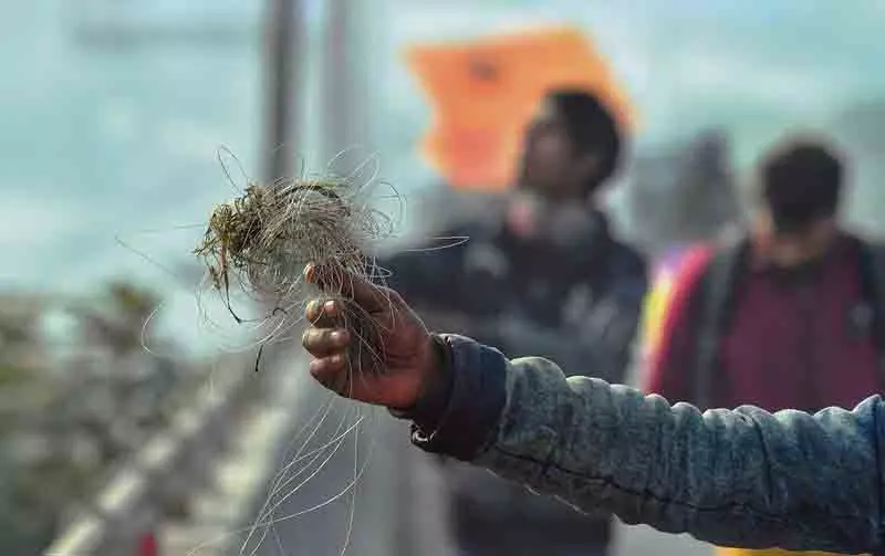 Chinese Dori: पुलिस आने वाले महीनों में भी खतरे के खिलाफ लड़ाई जारी रखेगी Chinese Dori: पुलिस आने वाले महीनों में भी खतरे के खिलाफ लड़ाई जारी रखेगी
