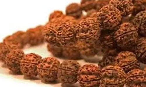 Rudraksha Ke Niyam: पहनना चाहते हैं रुद्राक्ष तो पहले जान लें सभी नियम, वरना नहीं होगा लाभ Rudraksha Ke Niyam: पहनना चाहते हैं रुद्राक्ष तो पहले जान लें सभी नियम, वरना नहीं होगा लाभ