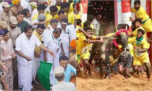 प्रसिद्ध Alanganallur जल्लीकट्टू: मंत्री पी. मूर्ति ने इसका उद्घाटन किया प्रसिद्ध Alanganallur जल्लीकट्टू: मंत्री पी. मूर्ति ने इसका उद्घाटन किया