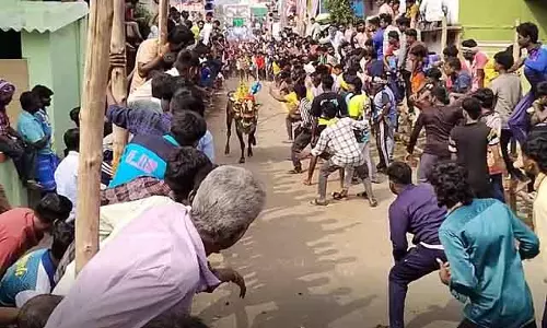 Vellore में बुल-बेटिंग फेस्टिवल में 200 बैलों ने हिस्सा लिया Vellore में बुल-बेटिंग फेस्टिवल में 200 बैलों ने हिस्सा लिया