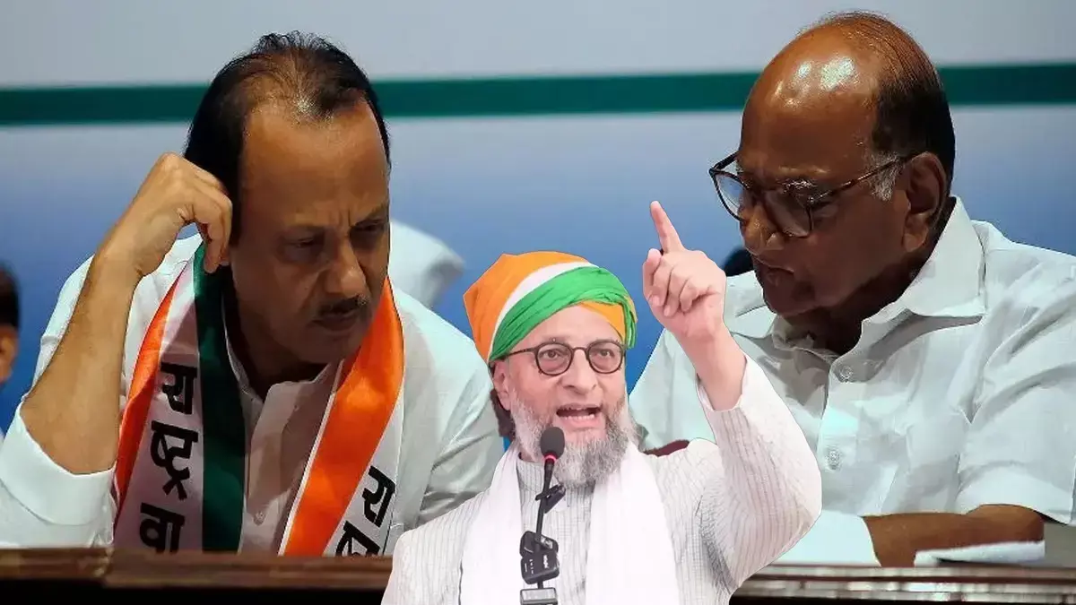महाराष्ट्र निकाय चुनाव स्कोरकार्ड: शरद पवार की NCP सबसे बड़ी लूज़र बनकर उभरी