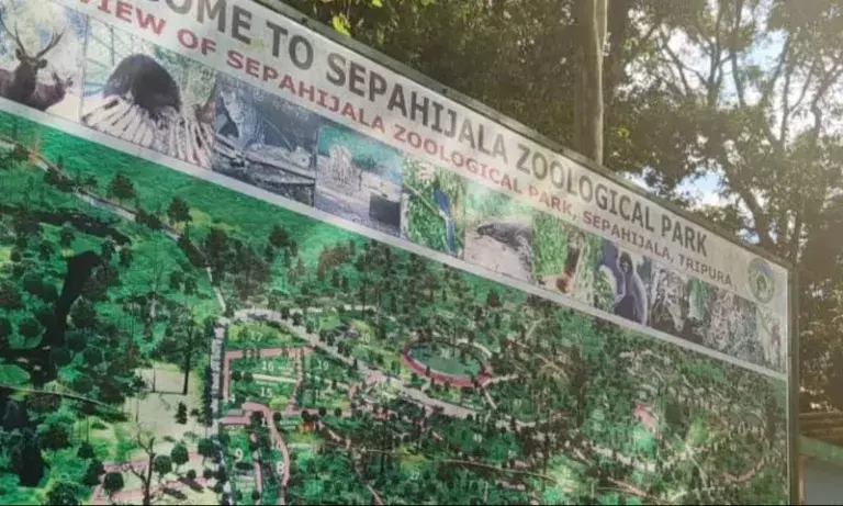 Tripura के इकलौते चिड़ियाघर का 57 करोड़ रुपये से होगा कायाकल्प Tripura के इकलौते चिड़ियाघर का 57 करोड़ रुपये से होगा कायाकल्प