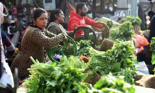 सरसों का साग, Punjab की सर्दियों की परंपरा जो स्वाद और दिल को तृप्त करती है सरसों का साग, Punjab की सर्दियों की परंपरा जो स्वाद और दिल को तृप्त करती है