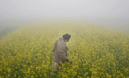 नाबार्ड ने 2026-27 के लिए Kapurthala के लिए 8,319 करोड़ रुपये की क्रेडिट योजना पेश की नाबार्ड ने 2026-27 के लिए Kapurthala के लिए 8,319 करोड़ रुपये की क्रेडिट योजना पेश की