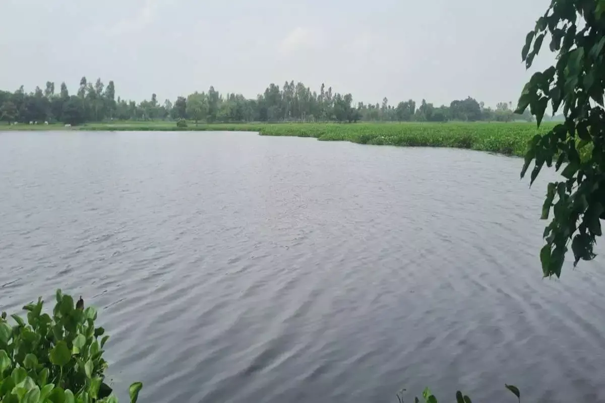 Barabanki: पर्यटकों के लिए भगहर झील की आकर्षण क्षमता घटी Barabanki: पर्यटकों के लिए भगहर झील की आकर्षण क्षमता घटी