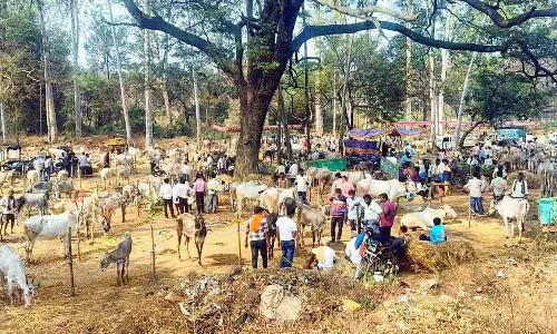 Channapatna : केंगल पशु मेला अपनी पुरानी रौनक पर लौट आया Channapatna : केंगल पशु मेला अपनी पुरानी रौनक पर लौट आया