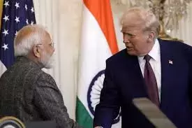 US सांसदों ने ट्रंप से दालों की फसलों पर भारत के टैरिफ कम करने की मांग की US सांसदों ने ट्रंप से दालों की फसलों पर भारत के टैरिफ कम करने की मांग की