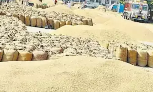 17 करोड़ का धान गायब, घोटालेबाज केंद्र प्रभारी पर कार्रवाई 17 करोड़ का धान गायब, घोटालेबाज केंद्र प्रभारी पर कार्रवाई