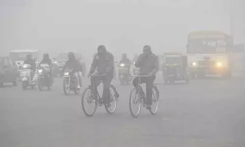 Tamil Nadu : नीलगिरी और कोडईकनाल में पाले की चेतावनी Tamil Nadu : नीलगिरी और कोडईकनाल में पाले की चेतावनी
