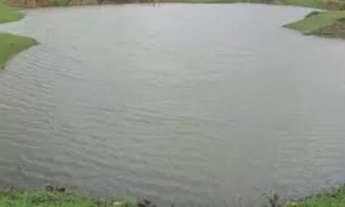Barabanki: पर्यटकों के लिए भगहर झील का आकर्षण कम हुआ Barabanki: पर्यटकों के लिए भगहर झील का आकर्षण कम हुआ