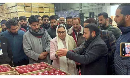 धार्मिक संस्थानों की सुरक्षा के लिए वेरिफिकेशन ज़रूरी: Andrabi धार्मिक संस्थानों की सुरक्षा के लिए वेरिफिकेशन ज़रूरी: Andrabi