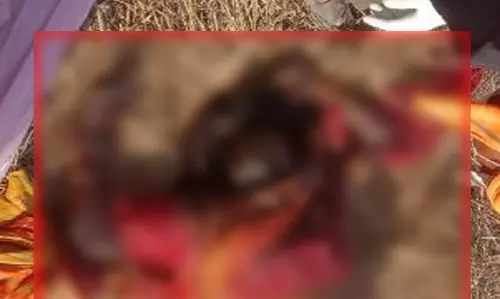 CG BREAKING: खेत में मिली अज्ञात महिला की सड़ी-गली लाश, जांच में जुटी पुलिस