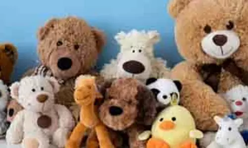 युवाओं में बढ़ा प्लश Toys का क्रेज