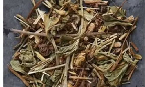 ब्राह्मी, शंखपुष्पी और अश्वगंधा का मिश्रण ओवरथिंकिंग से लेकर तनाव तक में देता है राहत