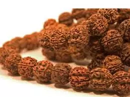 Rudraksha Ke Niyam: पहनना चाहते हैं रुद्राक्ष तो पहले जान लें सभी नियम, वरना नहीं होगा लाभ Rudraksha Ke Niyam: पहनना चाहते हैं रुद्राक्ष तो पहले जान लें सभी नियम, वरना नहीं होगा लाभ